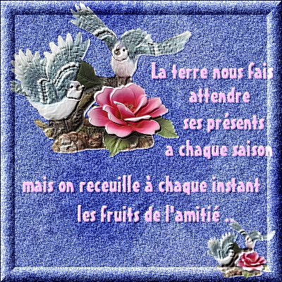 www.benamr.tk
